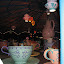 Florida08 158.jpg