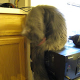 IMG_3960.JPG