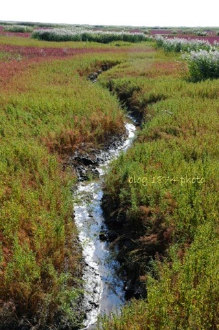 [SYG_4452%255B3%255D.jpg]