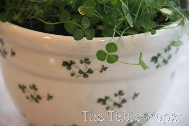 [St.-Paddys-Supper-0133.jpg]