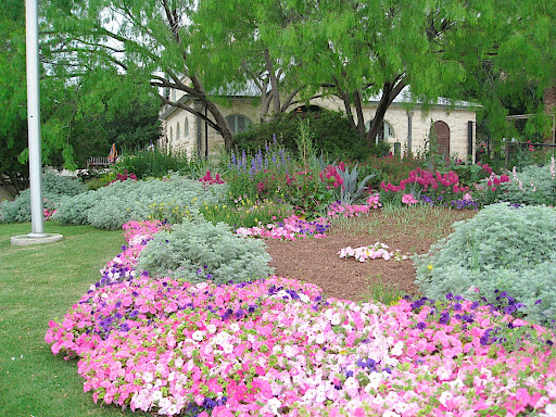 In Texas, they use petunias as spring annuals, which to us Northern gardeners seems surprising. Never in my life have I seen petunias look this pretty, though!