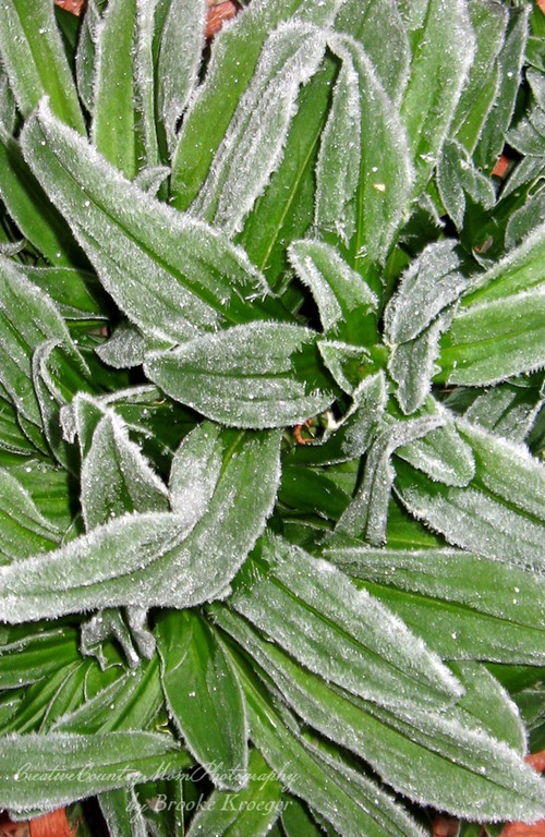 [IMG_22243.jpg]