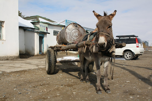 How water is delivered to some of the business in Kharkhorin