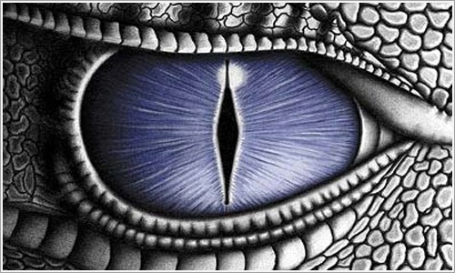 [el-ojo-de-saphira-drag%25C3%25B3n%255B3%255D.jpg]