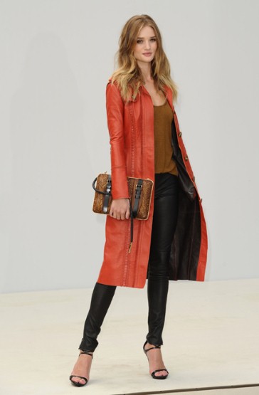 rosie-hw_2002825a.jpg