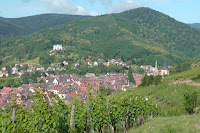 Through the vines