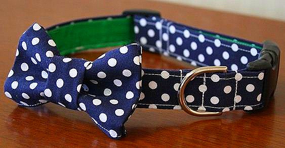 [Polka%2520dot%2520collar%255B7%255D.jpg]