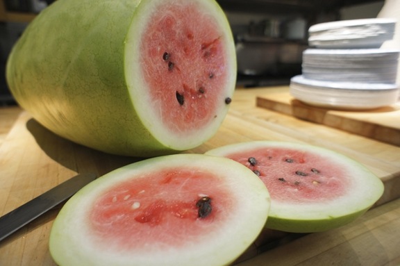 [Watermelon%2520Dee2%255B3%255D.jpg]