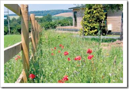 Beautiful Areas Throughout Devon