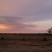 View album
