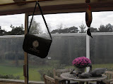 Photo13 111105 Wildwedstrijd