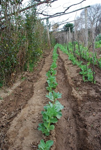 [DSC_0309%2520%2528536x800%2529%255B5%255D.jpg]