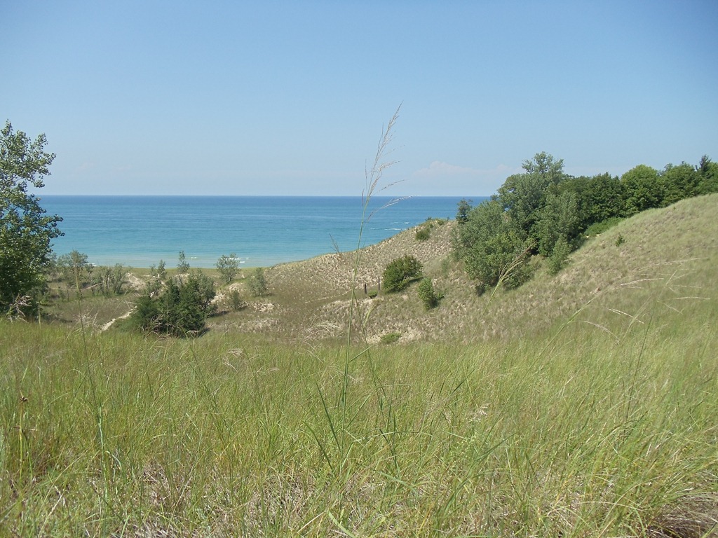 [DSC007754.jpg]