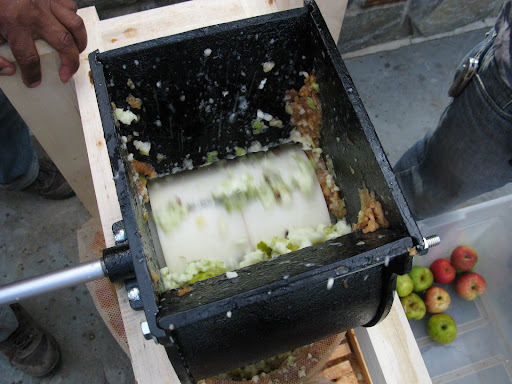 and in no time at all, those apples are chopped up!  Just don't put anything in there that you don't want chopped.