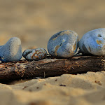 IMAGE_1000000985.JPG