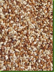 Teff1 Teff1