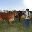superleite2011_dia1607_57.JPG