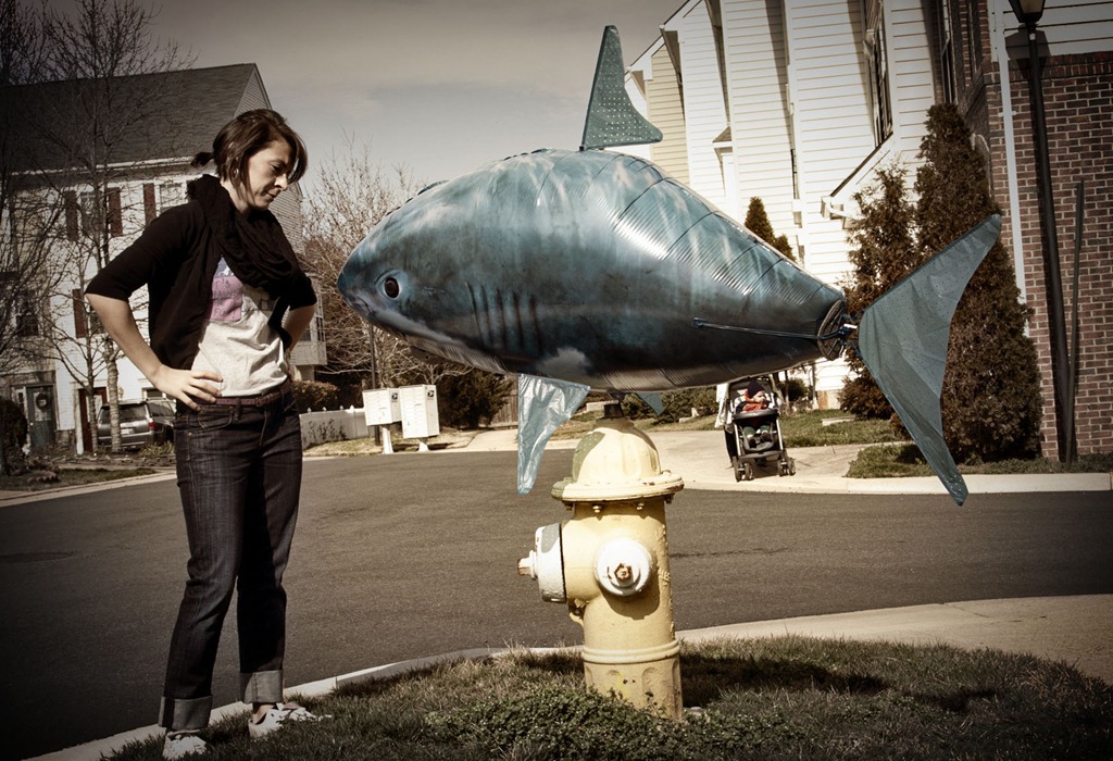 [SharkWalk1%255B3%255D.jpg]