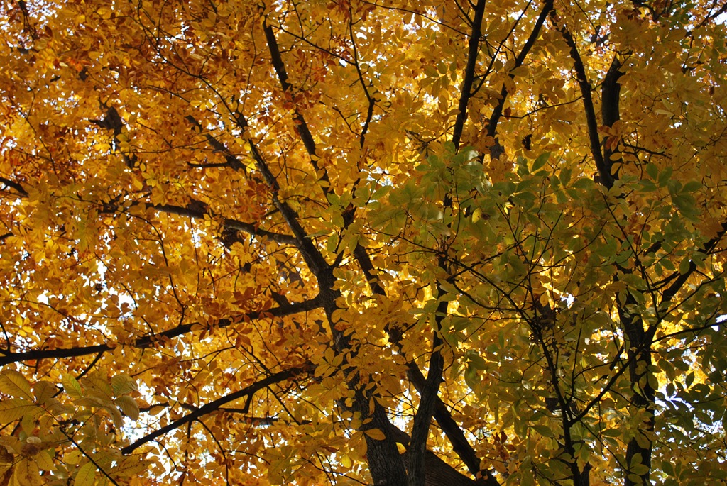 [DSC_5599%255B3%255D.jpg]