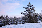Winter landscape view