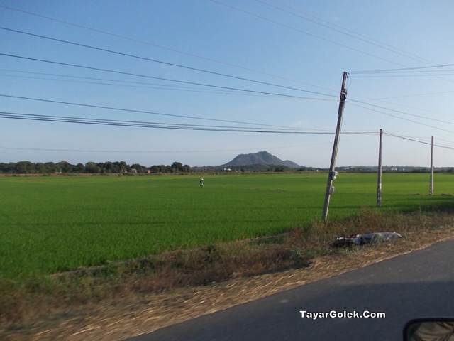 [DSCN20482.jpg]
