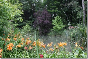 IMG_0957