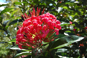 DSC_0248.JPG