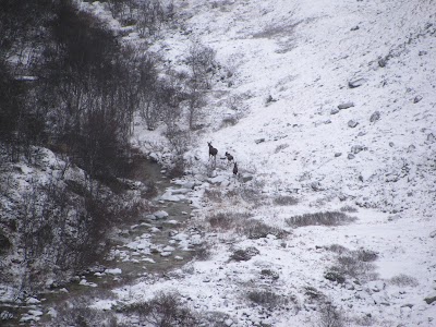 IMG_6573.JPG