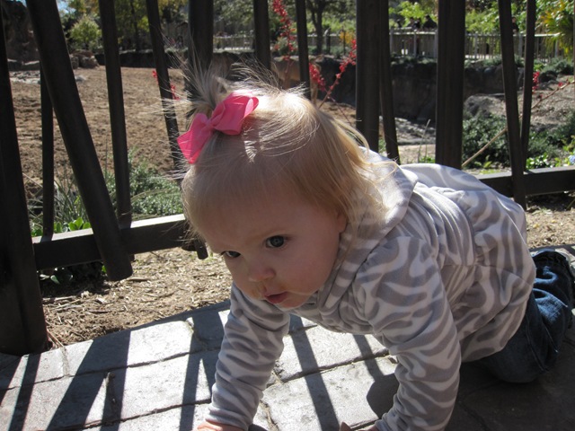 [IMG_0933%255B2%255D.jpg]