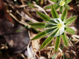 P4200476