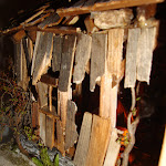 1455-5.JPG