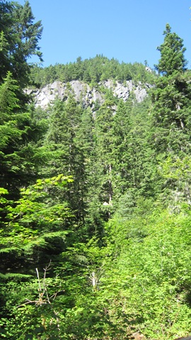 [IMG_52594.jpg]