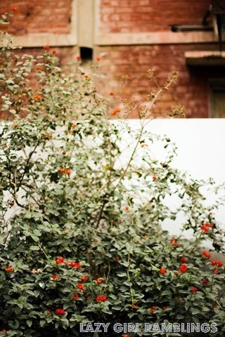 [20131210-131210100_thumb2.jpg]