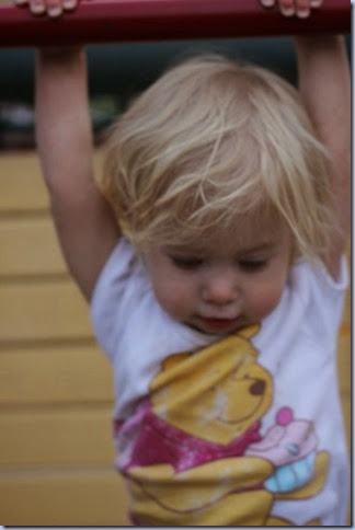 IMG_2365 IMG_2365