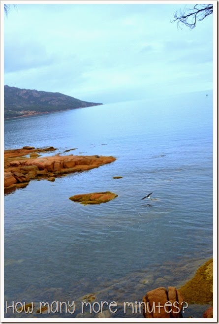 How Many More Minutes? ~ Coles Bay & Freycinet National Park