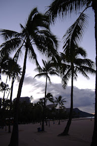 Palm trees on the beach at sunrise.