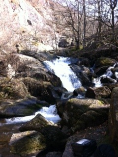 [photo-1d5.jpg]