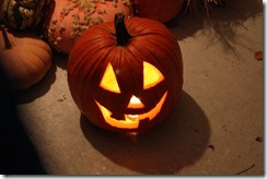 IMG_2436 IMG_2436