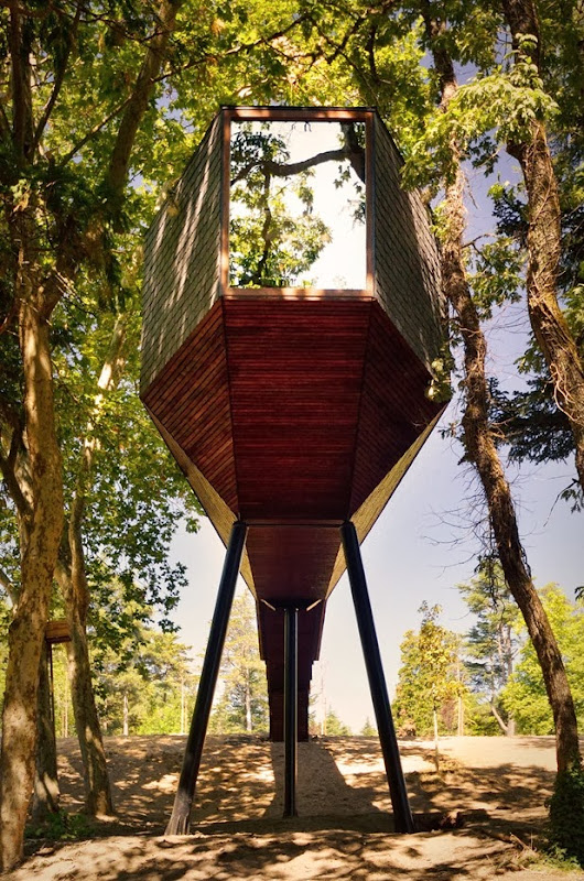 tree snake houses by luís and tiago rebelo de andrade 8