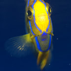 DSC_2190.jpg