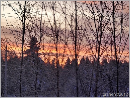 Morgonrodnad. P1296803