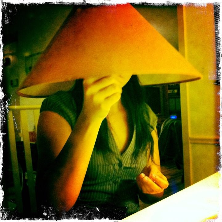 [boring-old-lampshade2.jpg]