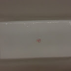 CIMG1110.JPG