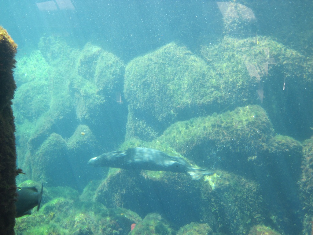 [IMG_0673%255B4%255D.jpg]