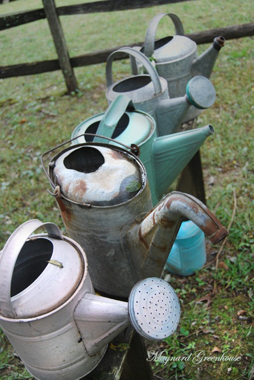 watering cans