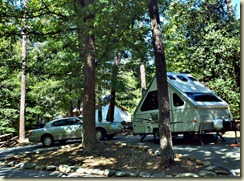 campsite 19
