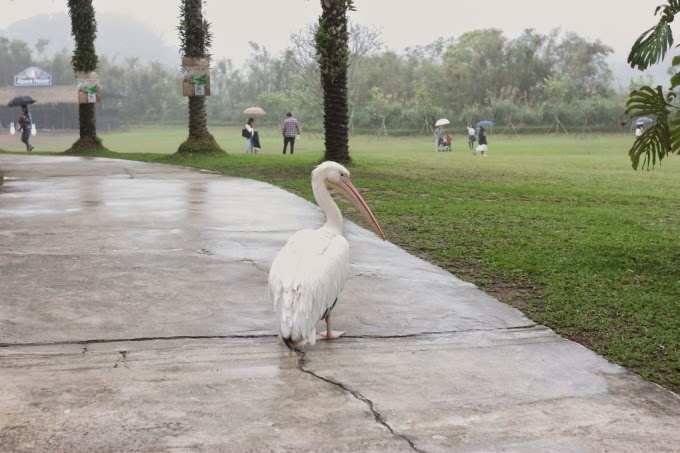 2014_0331_150430 2014_0331_150430