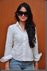 Sheena Shahabadi Photo Shoot Gallery