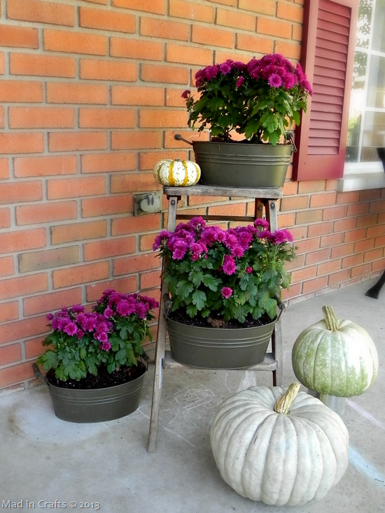 Front Porch Fall Colors fall mums Front Porch Fall Colors fall mums
