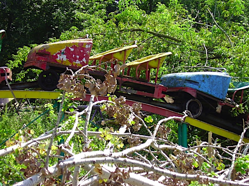 P7310020.JPG